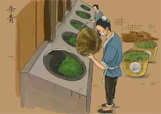 制茶八步驟，制茶工藝流程圖