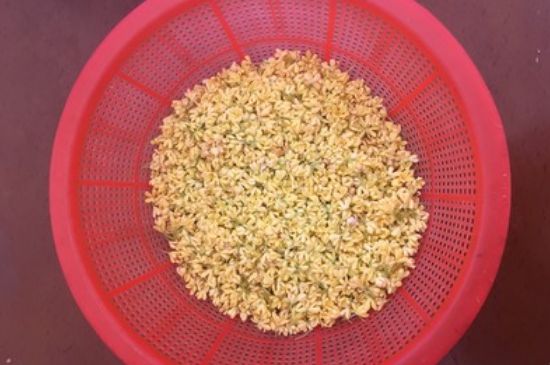 干桂花茶的制作方法，怎樣自制桂花茶？