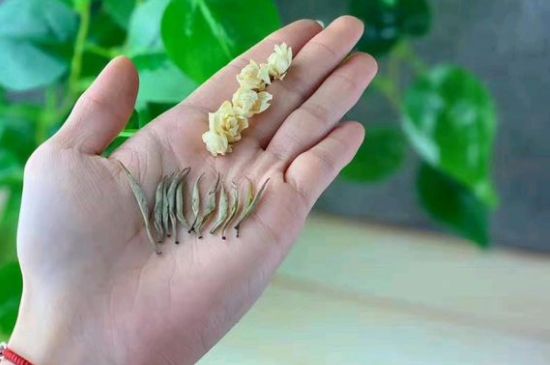 茉莉銀針口感，茉莉銀針是什么味道？