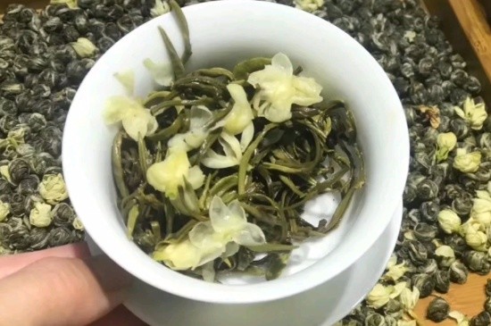茉莉香珠跟龍珠有什么區(qū)別嗎，茉莉龍珠和茉莉香珠那個(gè)好？