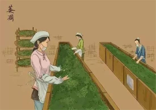 制茶八步驟，制茶工藝流程圖