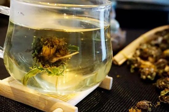 蒲公英最佳搭配，蒲公英茶和什么搭配泡水最佳