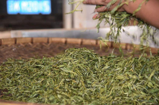 炒青綠茶與綠茶的區(qū)別，烘青和炒青哪個好喝？