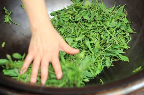炒青綠茶與綠茶的區(qū)別，烘青和炒青哪個好喝？