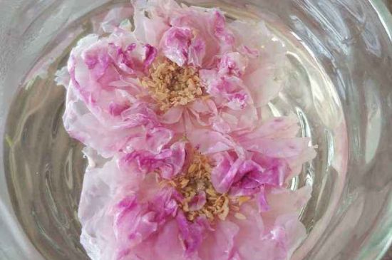 玫瑰花茶上火嗎，盲目喝玫瑰花茶易上火