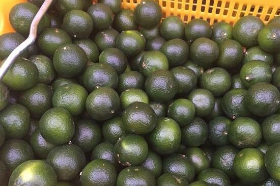 家庭自制柑普茶方法，小青柑制作9個(gè)步驟竅門（圖片）