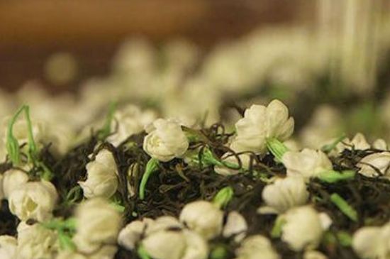 蒸茶器可以蒸花茶嗎，蒸茶器能用來蒸茉莉花茶嗎？