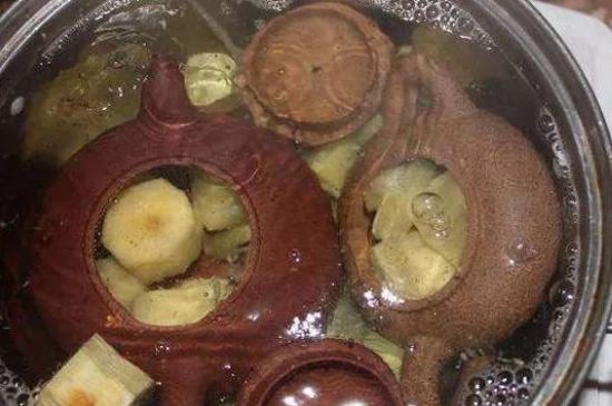 開壺放豆腐是錯誤的，新買的紫砂壺正確開壺建議