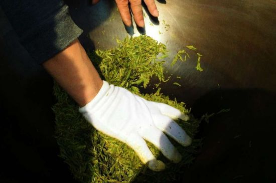 茶葉怎么炒制才香，怎樣炒茶葉更香？