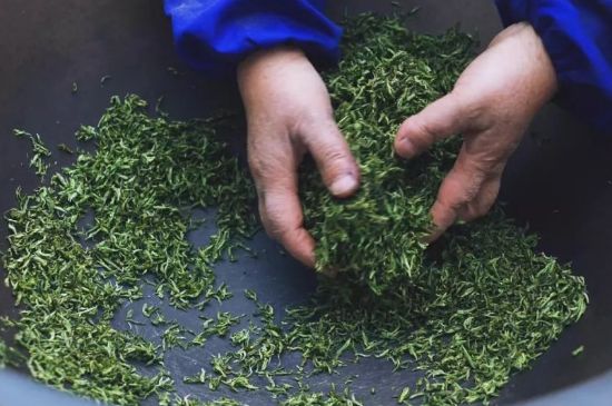 自家炒茶葉怎么炒，自己炒茶葉的步驟