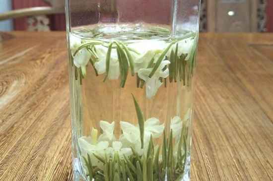 女孩喝茉莉茶的好處，茉莉茶葉的功效與禁忌