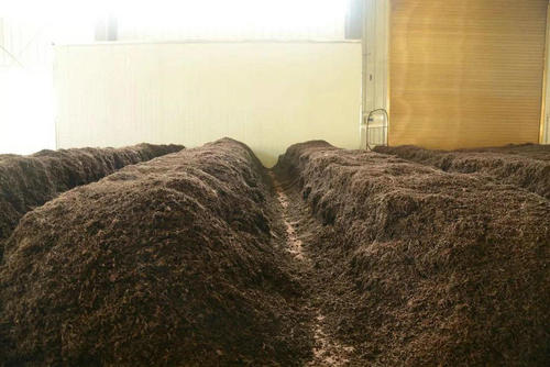 制茶八步驟，制茶工藝流程圖