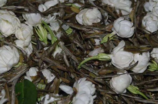 茉莉龍珠怎么做的，茉莉龍珠的制作工藝