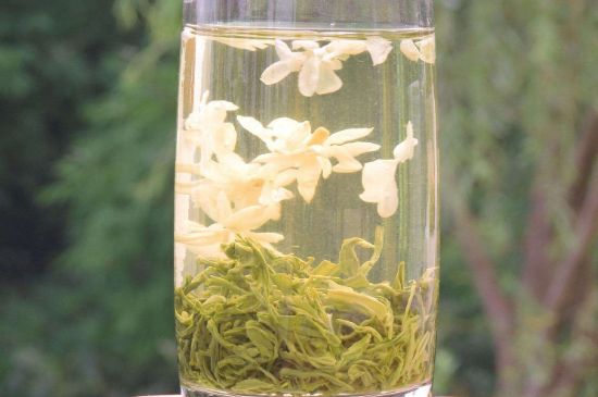 茉莉龍珠可以和什么一起泡茶，茉莉龍珠茶能加蜂蜜嗎？