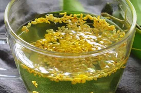 茉莉茶一次泡幾朵，茉莉茶放多少