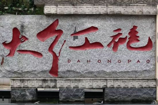 母樹(shù)大紅袍給誰(shuí)喝了，為什么母樹(shù)大紅袍叫三棵六株？