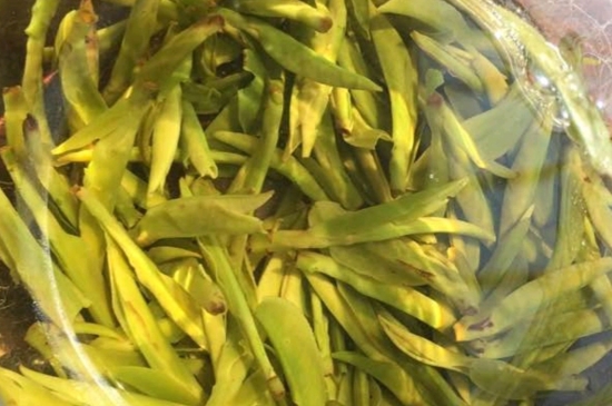 龍井是明前的好還是雨前的好，明前茶和雨前茶哪個好喝？