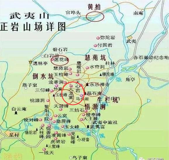 母樹(shù)大紅袍給誰(shuí)喝了，為什么母樹(shù)大紅袍叫三棵六株？