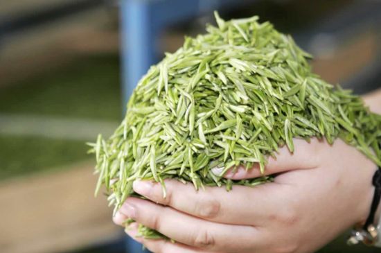 高山云霧茶屬于什么茶，高山云霧茶哪里的最好