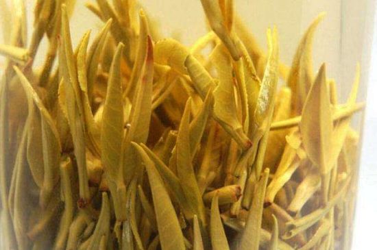 黃茶不適合哪些人喝，黃茶的功效與作用禁忌