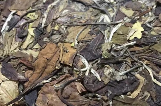 老白茶上火還是去火？夏季喝煮的老白茶會容易上火！