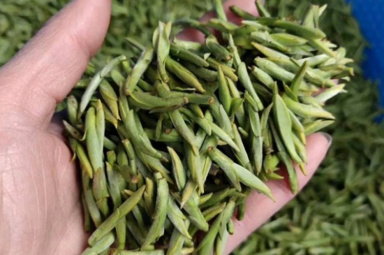 龍井茶好壞的鑒別圖片，如何區(qū)別龍井茶的好壞？