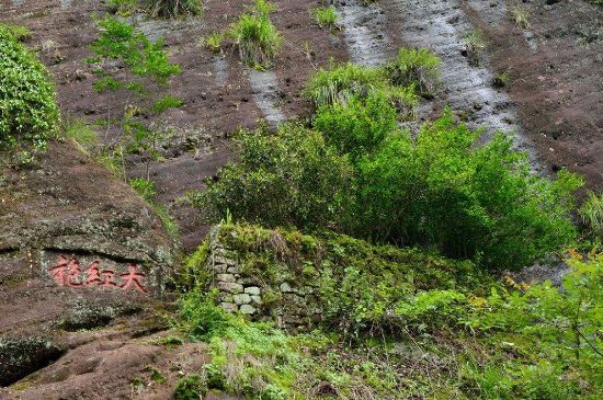 武夷巖茶大紅袍，喝起來是什么味道？