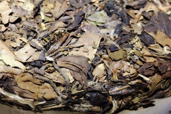 煮茶的步驟圖解，正確的煮白茶方法！