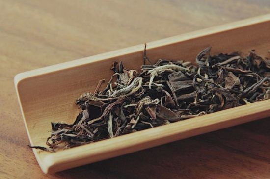 怎么撬老白茶茶餅不容易碎，福鼎白茶如何撬茶方法
