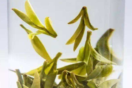 烏牛早和龍井的區(qū)別圖片，龍井43號(hào)和烏牛早茶的對(duì)比