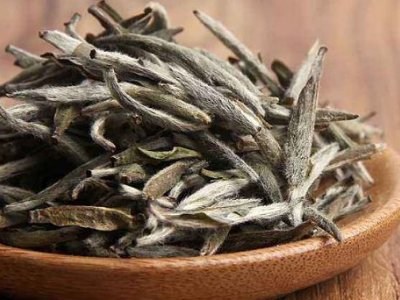 白茶有哪些品種排名，<a href=http://m.kbo12.com/fenlei/baicha/ target=_blank class=infotextkey>白茶的種類</a>大全