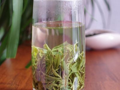 竹葉青和毛尖的區(qū)別，竹葉青和信陽毛尖哪個好？