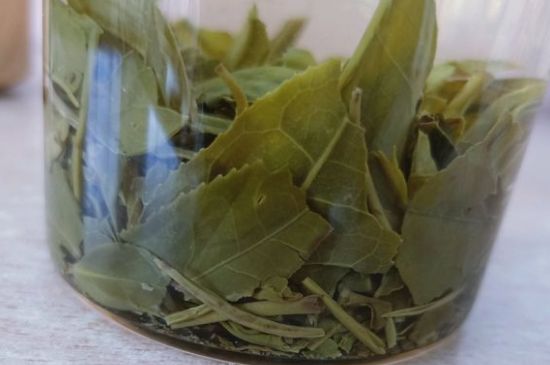 綠茶陳茶和新茶區(qū)別，綠茶怎樣區(qū)分新茶和陳茶