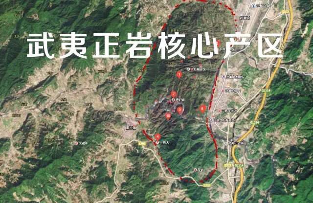 武夷山為什么盛產(chǎn)茶葉，武夷山茶為什么好喝？