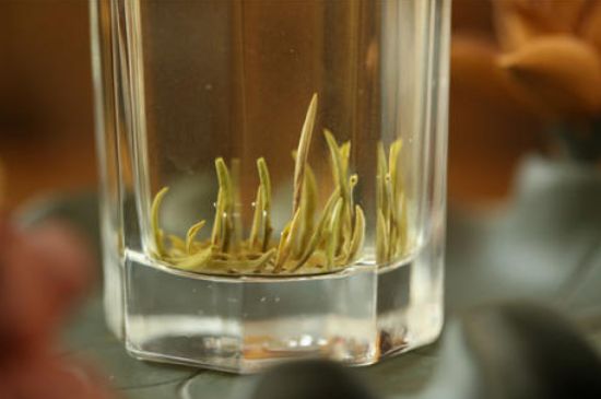 踏雪蘭妃是什么茶，踏雪蘭妃是哪里的茶葉?