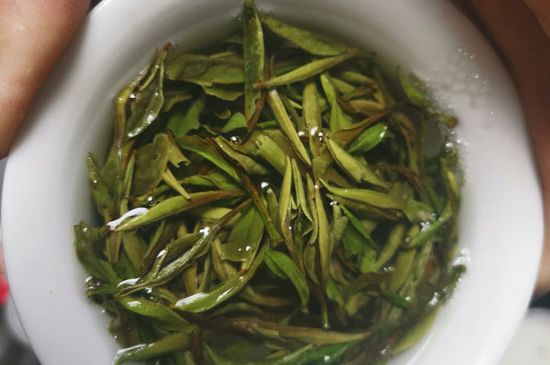 什么人不能喝白茶，白茶不宜什么人喝？