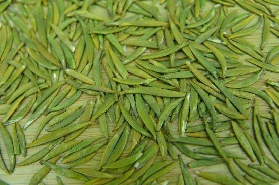 竹葉青和毛尖的區(qū)別，毛尖和竹葉青怎么分辨？