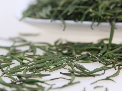 霍山黃芽算是好茶嗎，霍山黃芽屬于什么茶？