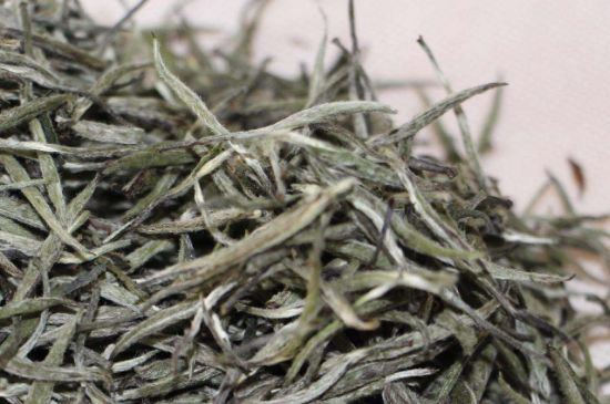 什么人不能喝白茶，白茶不宜什么人喝？