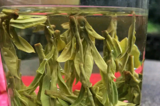 什么綠茶最香最好喝，綠茶口感與香氣排名