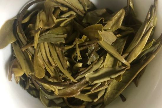 三年白茶賽砒霜，這是真的嗎？