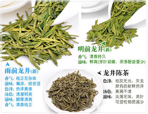 西湖龍井新茶和陳茶的區(qū)別，怎么區(qū)分龍井新茶和舊茶？
