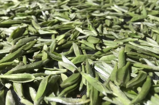 白毫銀針年份久的有什么香，陳年白毫銀針的香氣