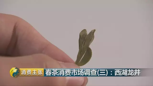 龍井群體種和43號的區(qū)別圖片，龍井43和群體種哪個(gè)好喝？