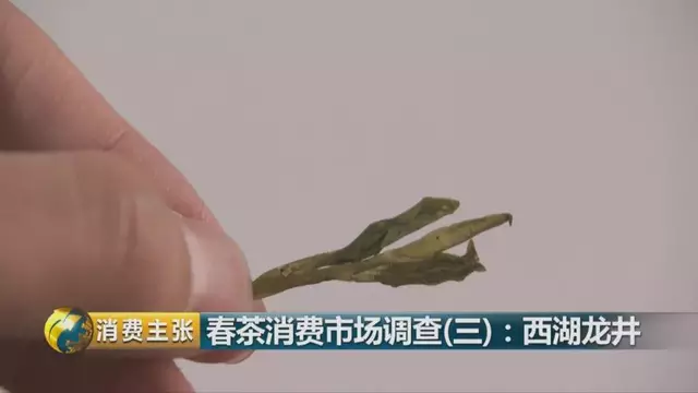 龍井群體種和43號的區(qū)別圖片，龍井43和群體種哪個(gè)好喝？