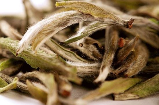 荒野銀針有什么特點(diǎn)，荒野銀針的味道口感咋樣？