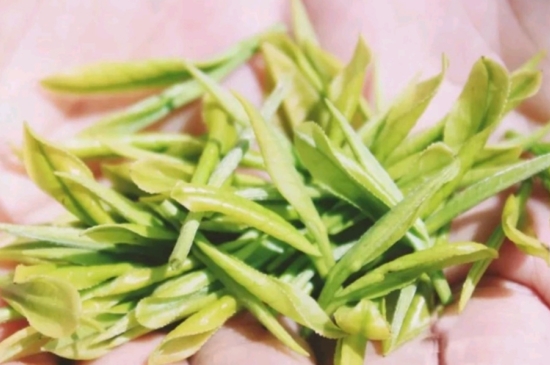 龍井是明前的好還是雨前的好，明前茶和雨前茶哪個好喝？