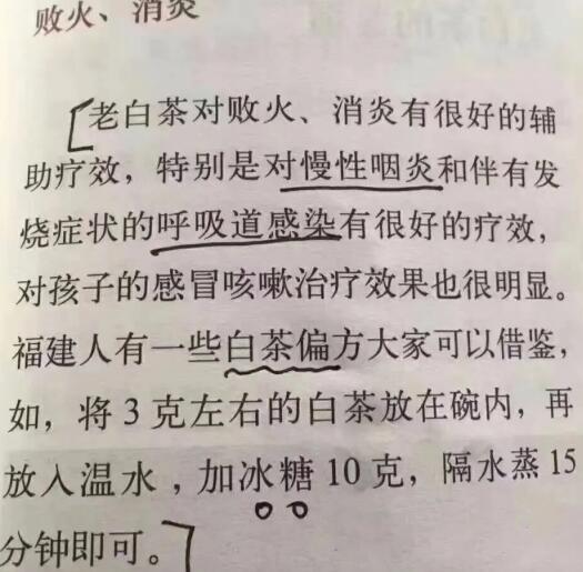 老白茶上火還是去火？夏季喝煮的老白茶會容易上火！