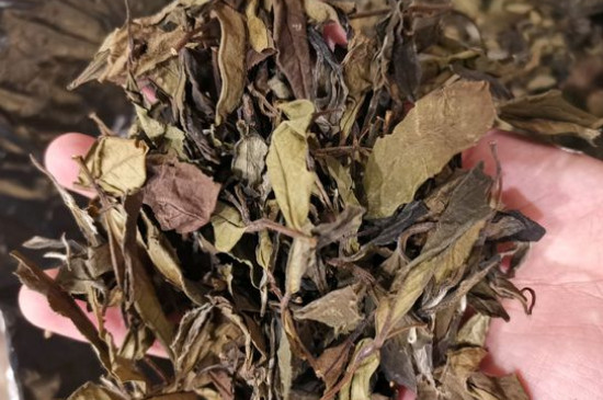 新舊白茶怎么區(qū)分，怎么分辨白茶是新還是舊