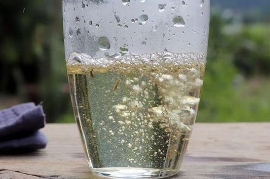 三年白茶賽砒霜，這是真的嗎？